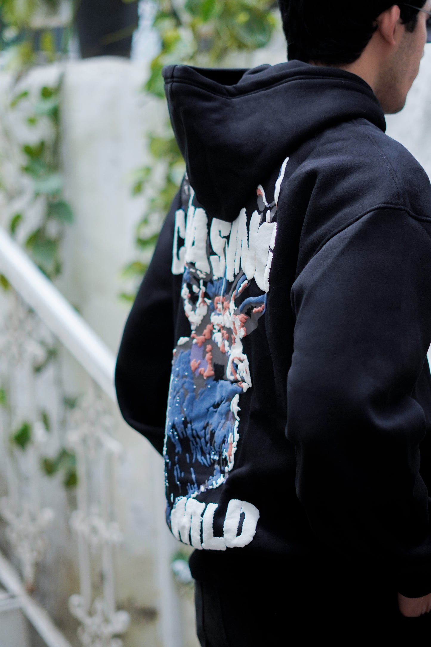 CHASING THE WILD HOODIE